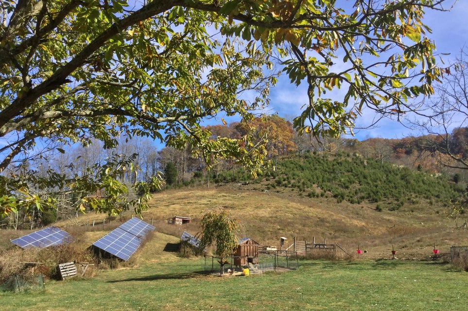 Photo #24: 2397 Robinette Valley Road