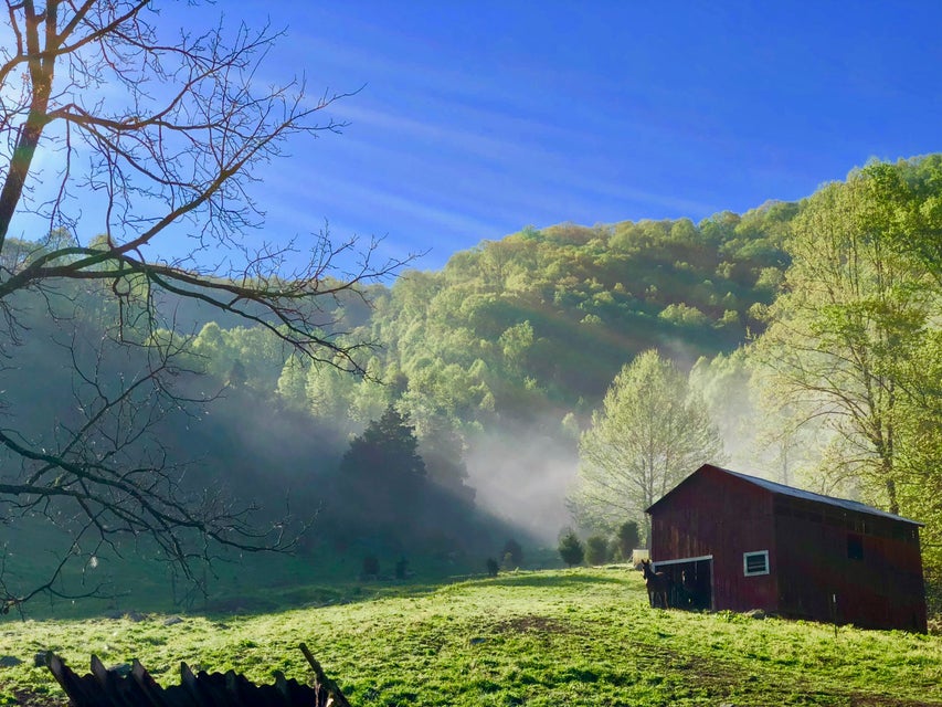 Photo #19: 2397 Robinette Valley Road