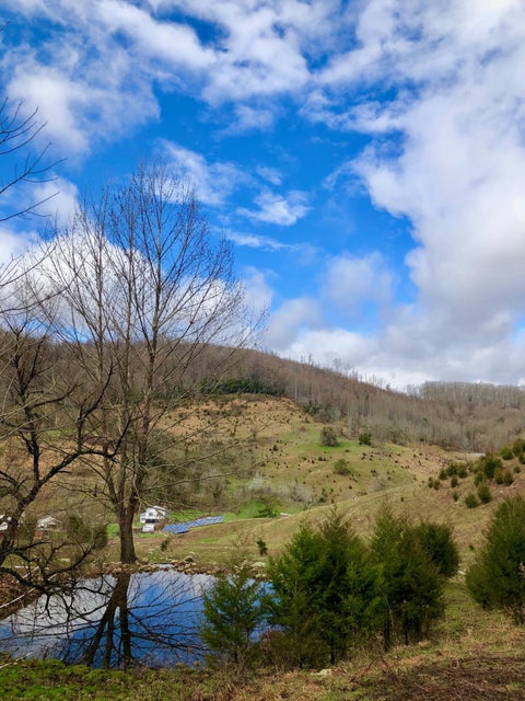 Photo #20: 2397 Robinette Valley Road