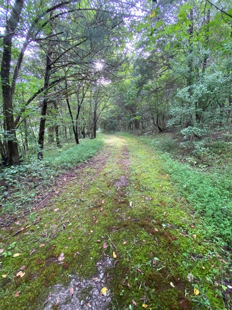 Photo #35: 2425 Seminary Church Loop