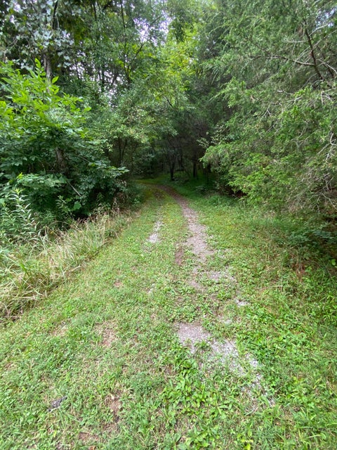 Photo #34: 2425 Seminary Church Loop