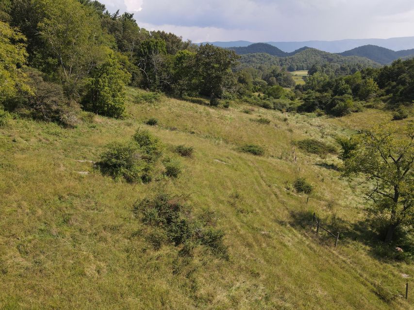 Photo #7: Tbd Highway 421