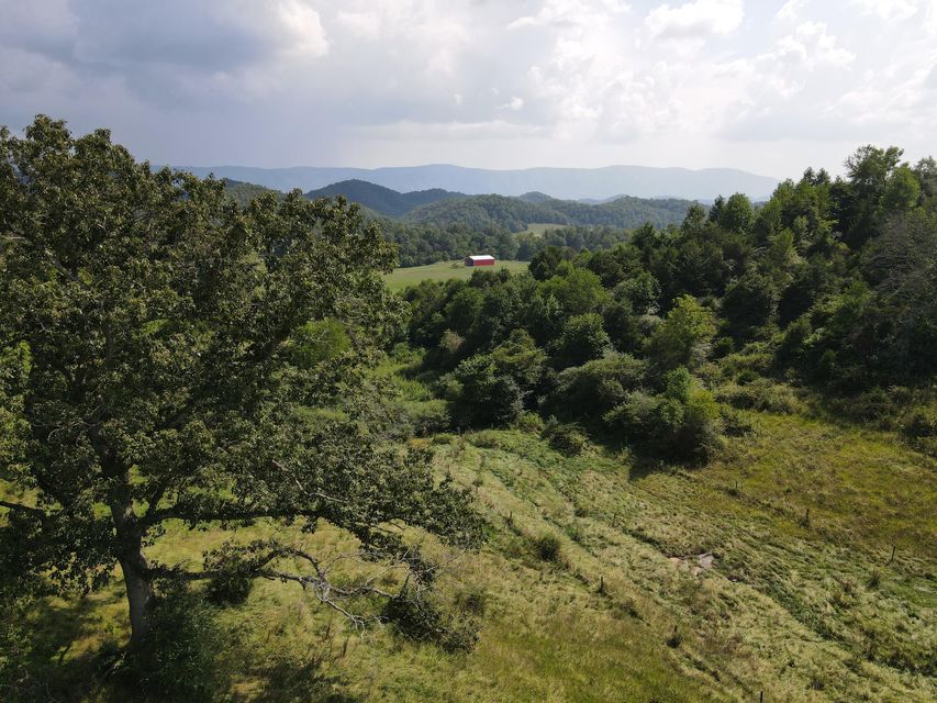 Photo #5: Tbd Highway 421