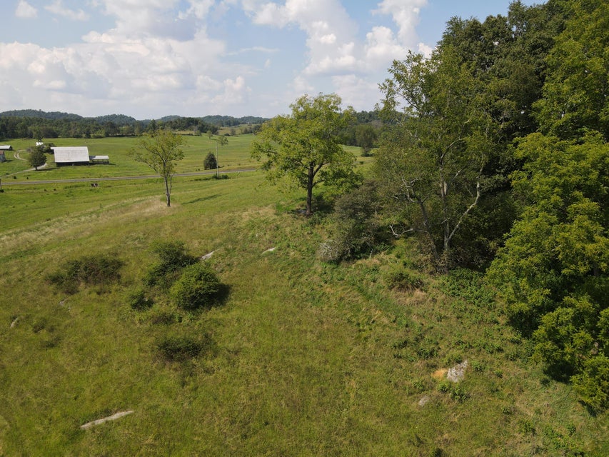 Photo #6: Tbd Highway 421