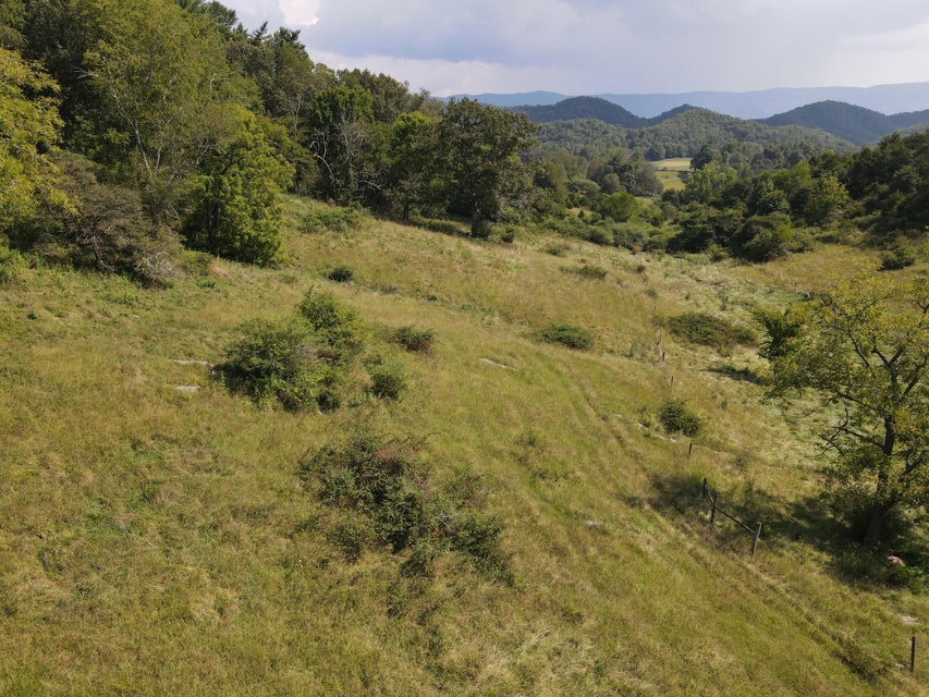 Photo #7: Tbd Highway 421