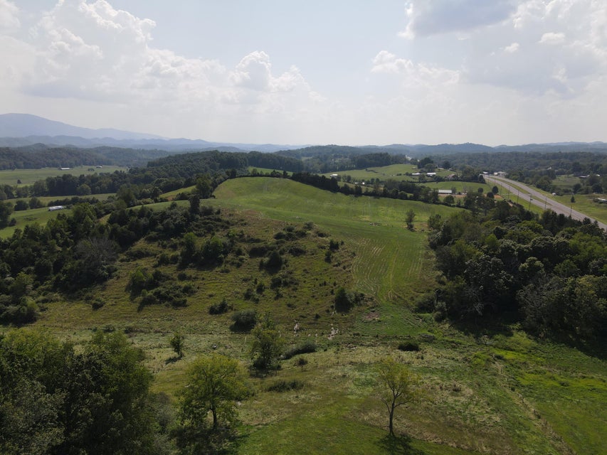 Photo #10: Tbd Highway 421