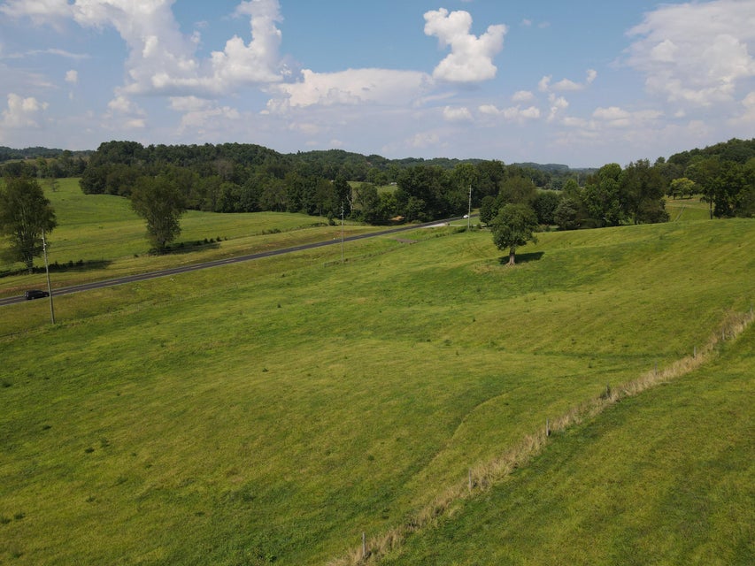 Photo #13: Tbd Highway 421