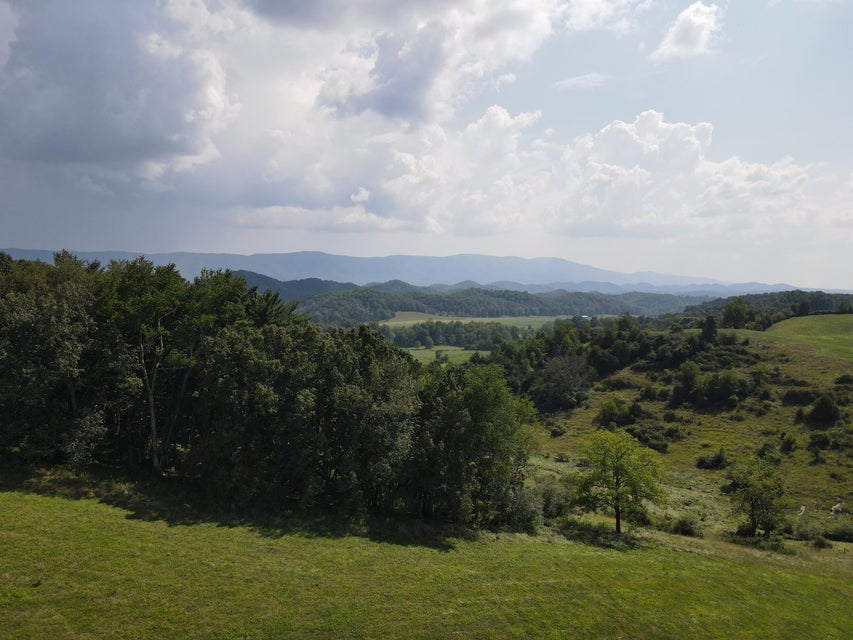 Photo #16: Tbd Highway 421