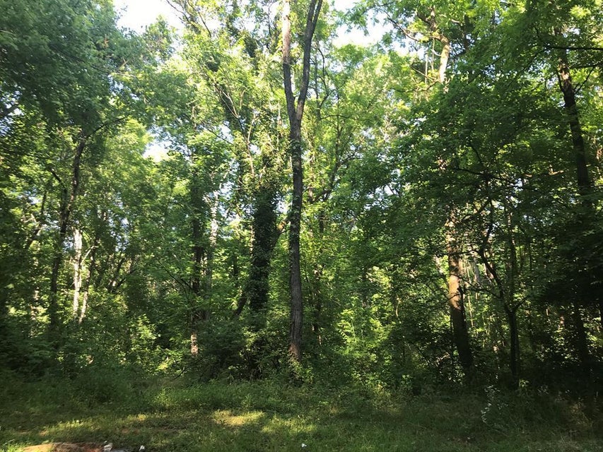 Photo #1: Lot 64 Hall Drive