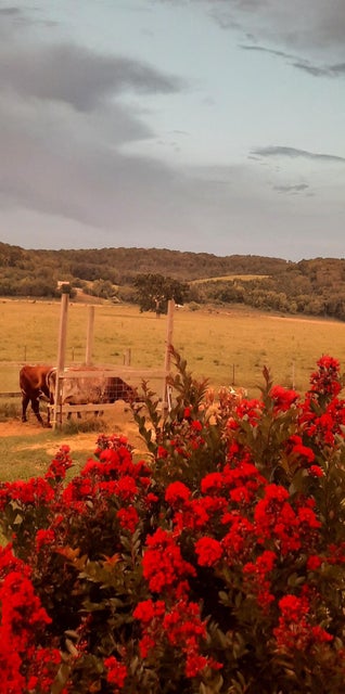 Photo #50: 715 Gilbreath Road