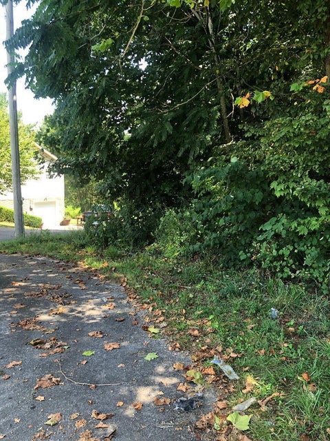 Photo #1: Tba Emerald Hills Drive