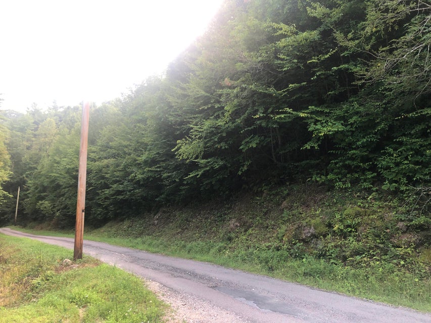 Photo #3: 00 Betty Hammons Lane