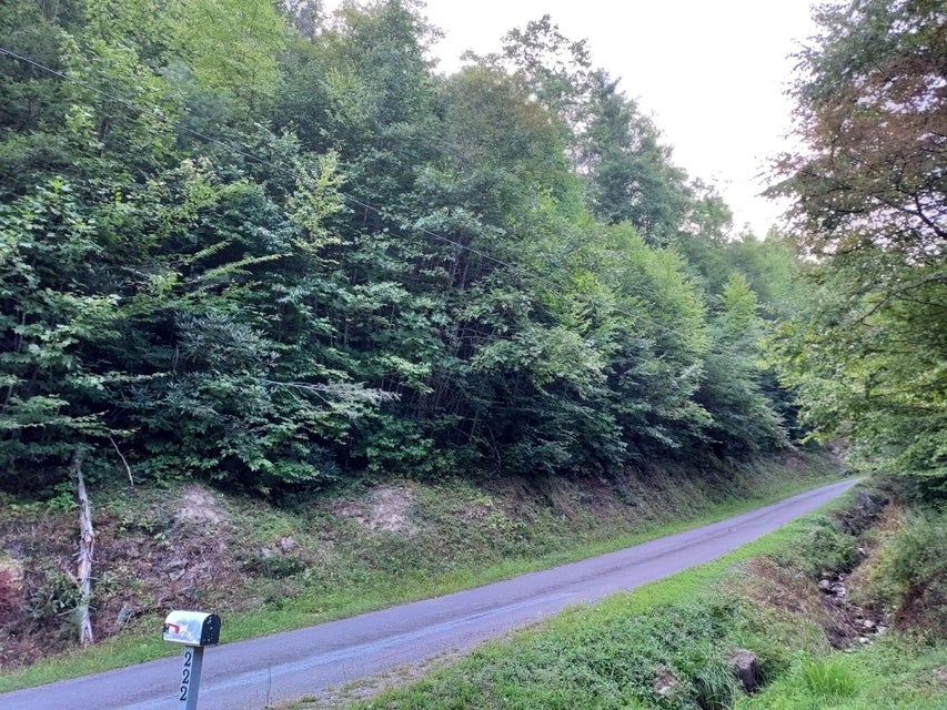 Photo #4: 00 Betty Hammons Lane