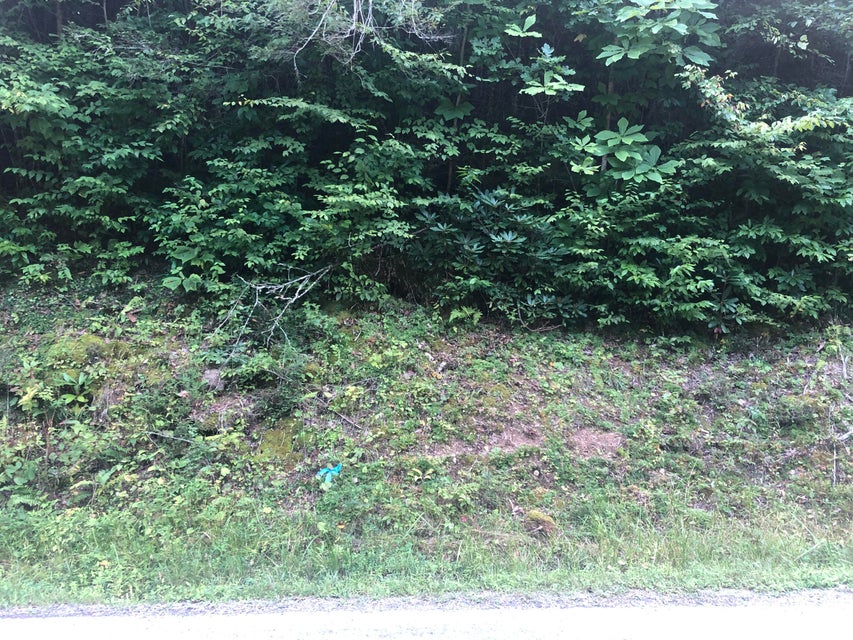 Photo #5: 00 Betty Hammons Lane