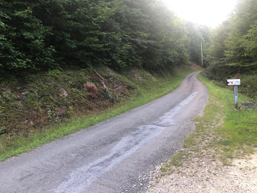 Photo #6: 00 Betty Hammons Lane