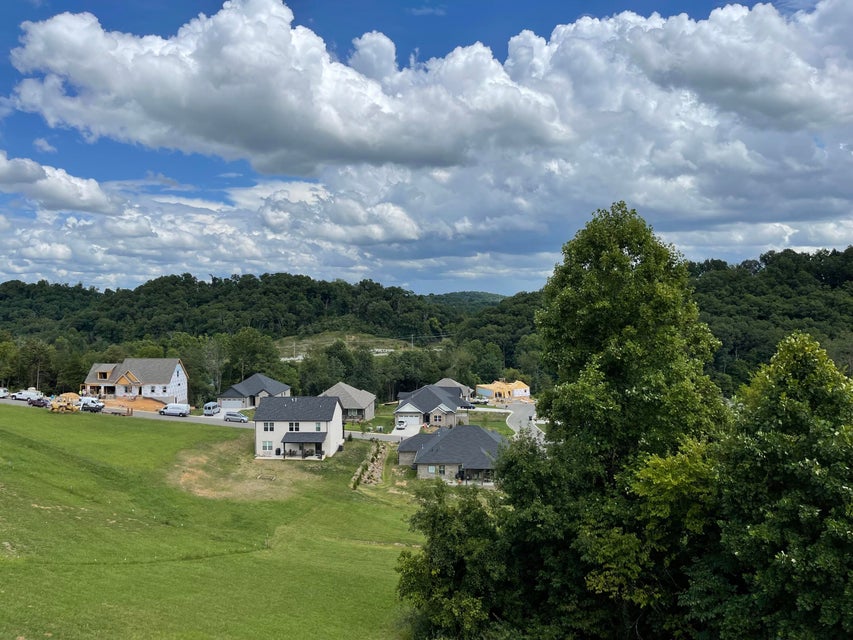 Photo #9: 1259 Panoramic Vista