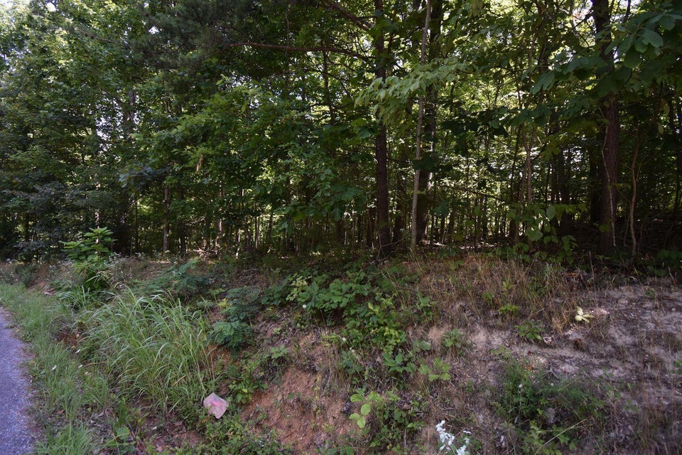 Photo #2: Tbd Oak Grove Road