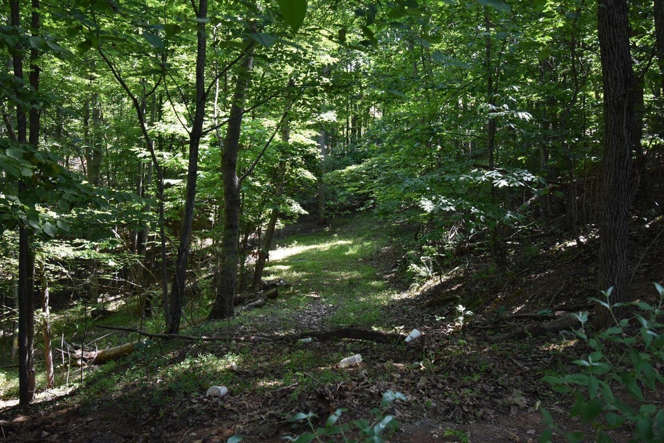Photo #4: Tbd Oak Grove Road