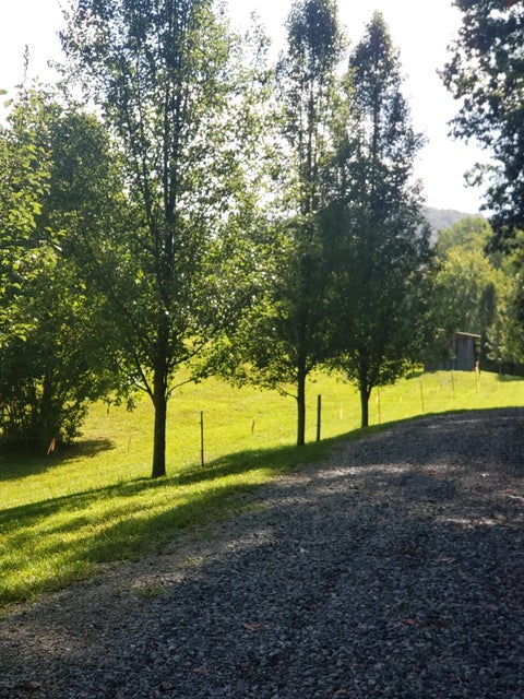 Photo #17: 448 Cherry Grove Road