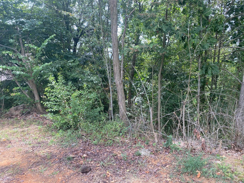 Photo #1: 2317 Louita Avenue