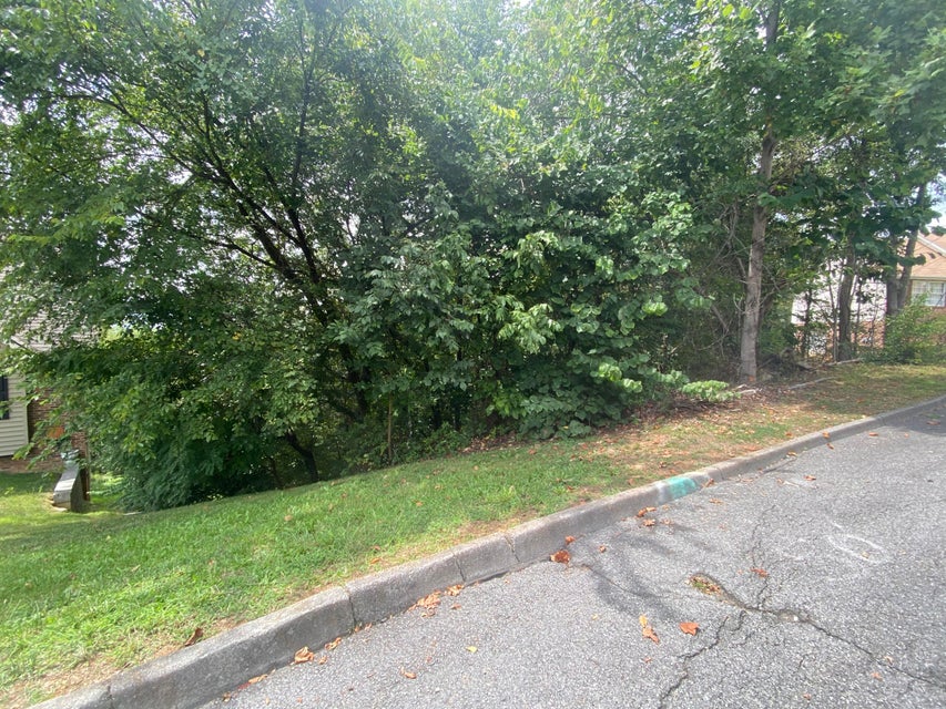 Photo #3: 2317 Louita Avenue