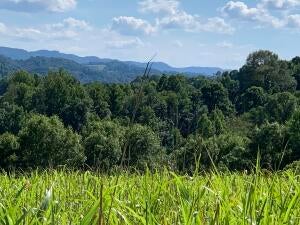 Photo #7: 38330 Wilderness Road