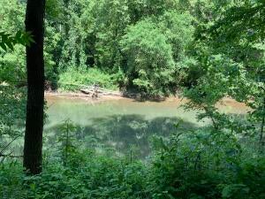 Photo #8: 38330 Wilderness Road