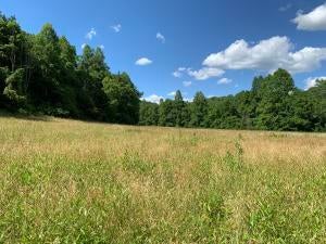 Photo #9: 38330 Wilderness Road