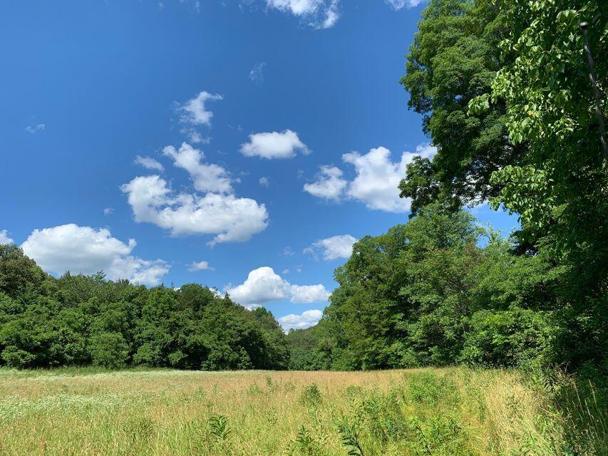 Photo #10: 38330 Wilderness Road