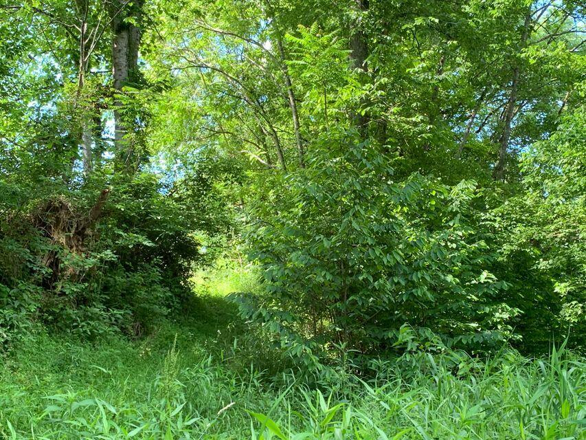 Photo #11: 38330 Wilderness Road