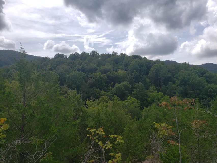 Photo #5: 00 Mountain Valley Highway