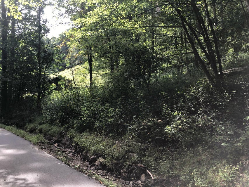 Photo #6: Tbd Ingram Branch Road
