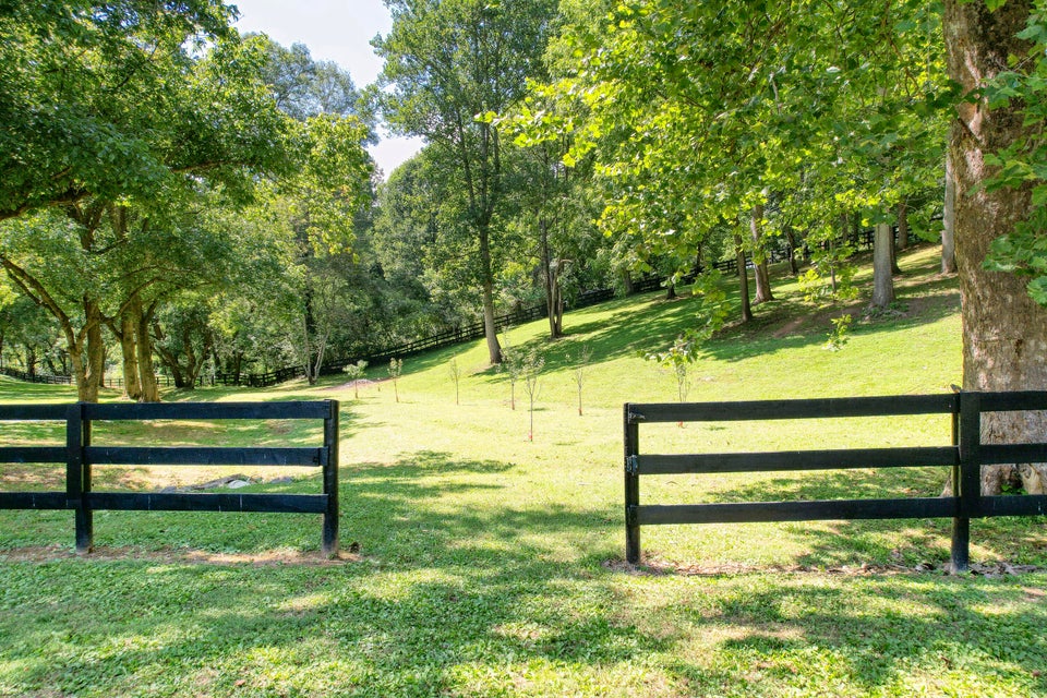 Photo #6: 429 New Bethel Road