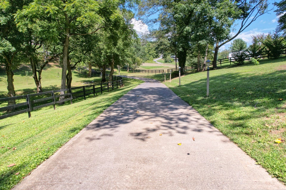Photo #28: 429 New Bethel Road