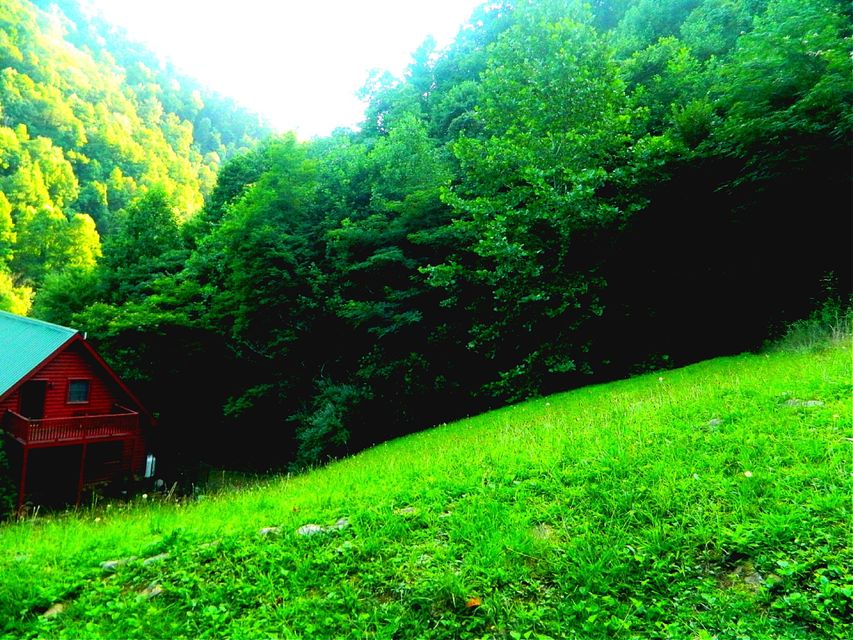 Photo #8: 3421 Hoot Owl Road