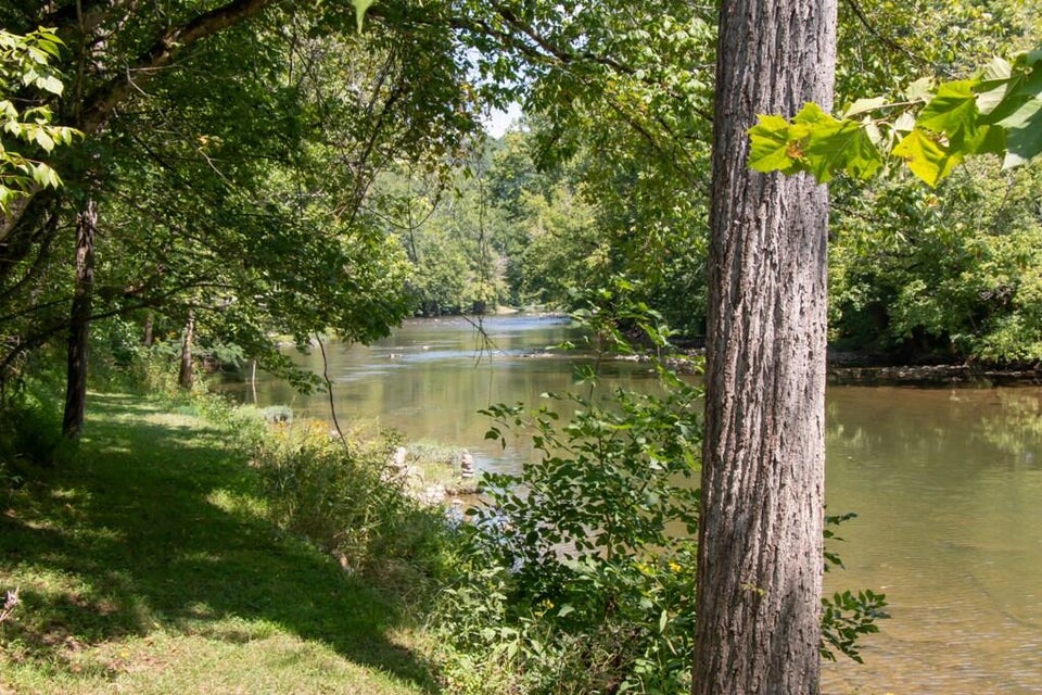 Photo #7: 19080 North Fork River Road