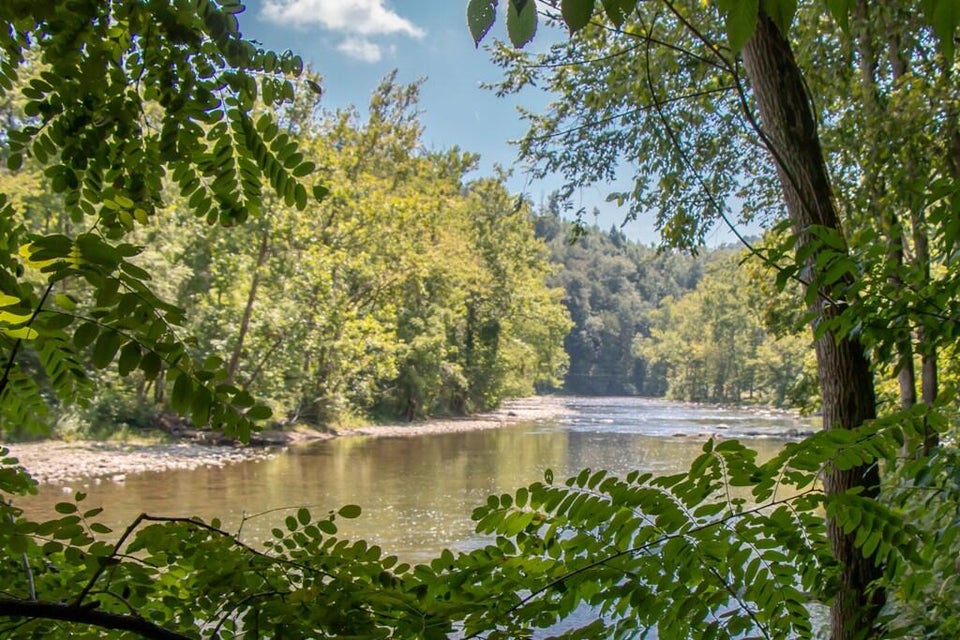 Photo #9: 19080 North Fork River Road