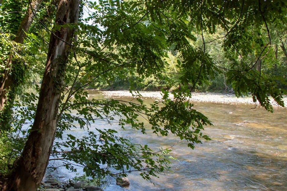 Photo #50: 19080 North Fork River Road