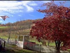 Photo #26: 2397 Robinette Valley Road