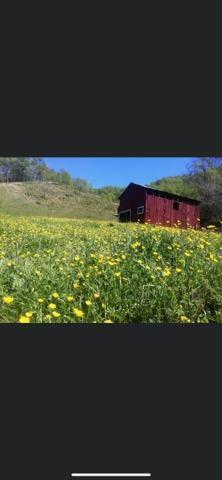 Photo #27: 2397 Robinette Valley Road