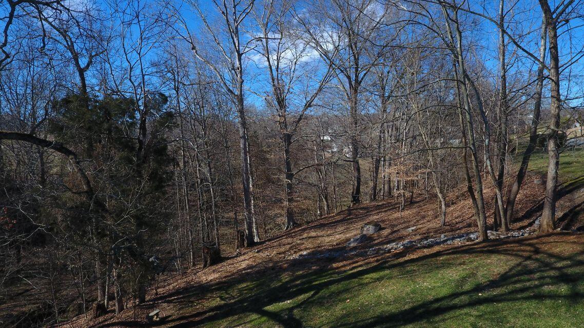 Photo #19: 148 & 152 Warrior Falls Drive