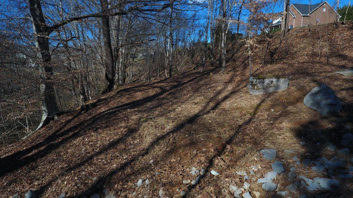 Photo #35: 148 & 152 Warrior Falls Drive