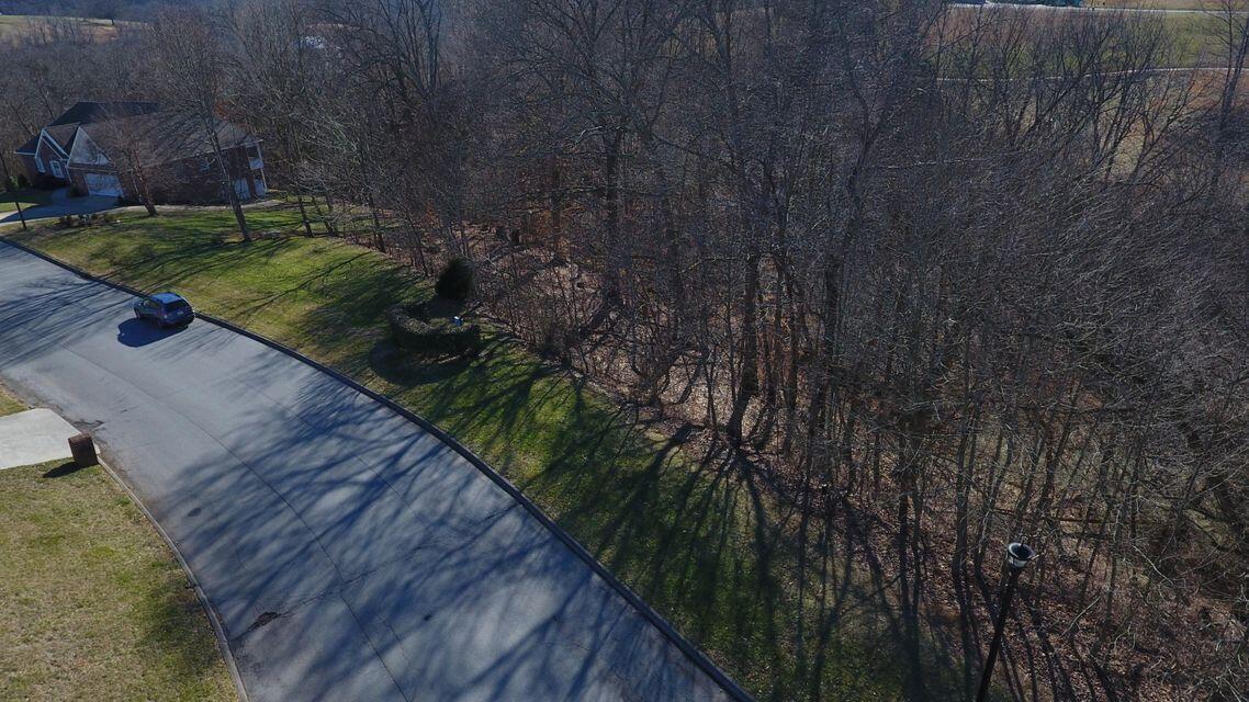 Photo #39: 148 & 152 Warrior Falls Drive