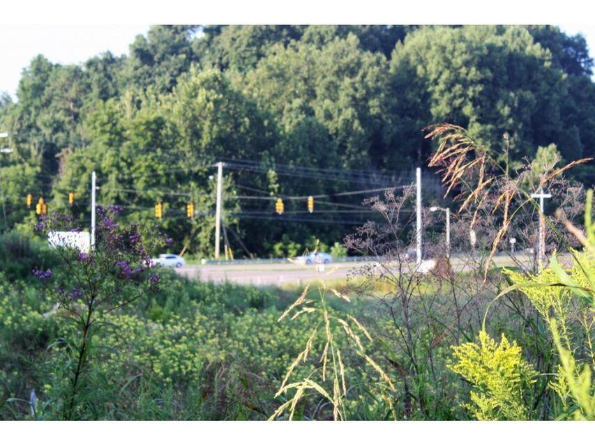 Photo #6: Tbd Highway 11e & New Hope Road