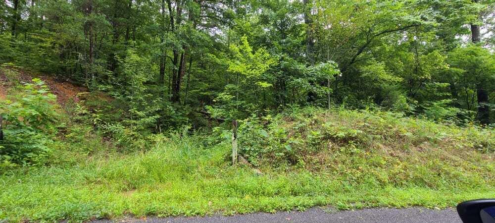 Photo #2: 000 Sandy Valley Road