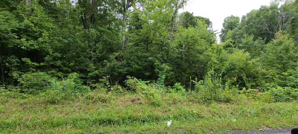 Photo #3: 000 Sandy Valley Road