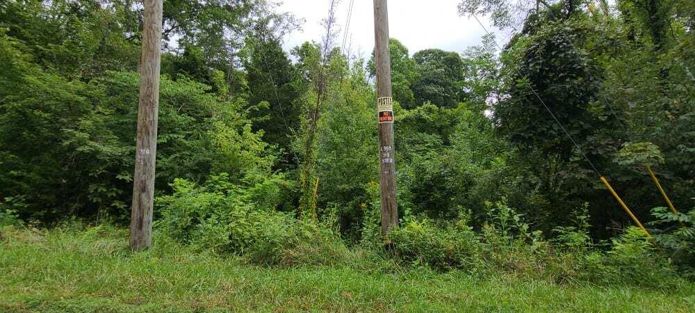 Photo #4: 000 Sandy Valley Road