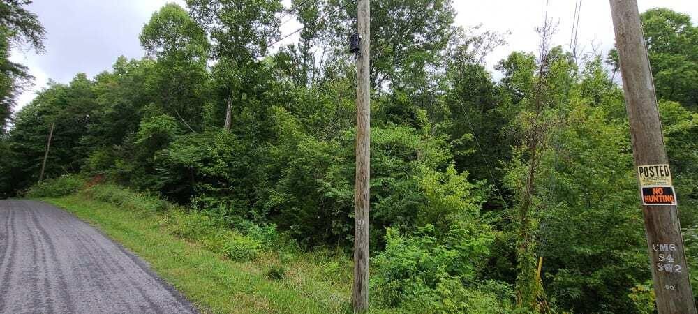 Photo #5: 000 Sandy Valley Road