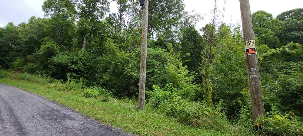 Photo #6: 000 Sandy Valley Road
