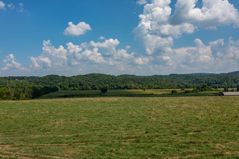 Photo #3: 463 Williams Road